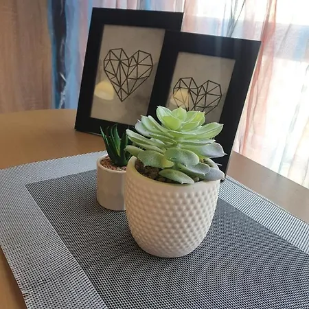 Apartament Nights Sofia